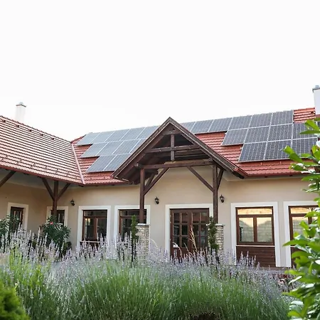 Guest house Szarvas - Jakuzzis Vendeghaz *