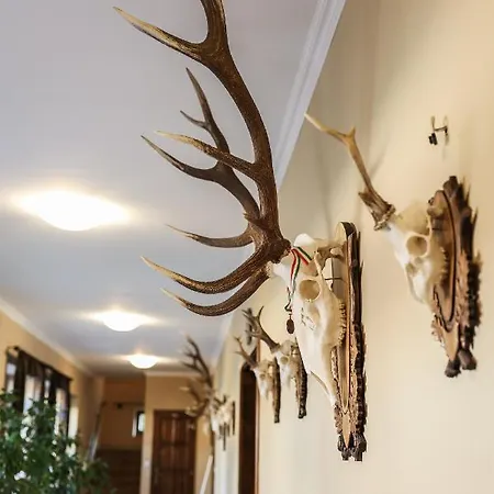 Guest house Szarvas - Jakuzzis Vendeghaz *
