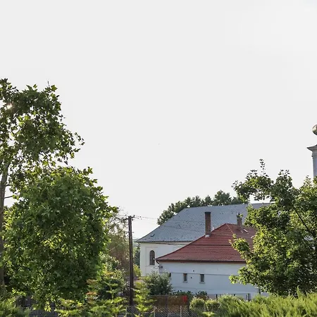 Szarvas - Jakuzzis Vendeghaz Guest house Many